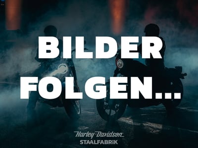 2019_2