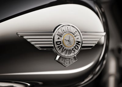 2025_fat-boy-gray-ghost_flstfi_hd_studio_2024_medallion